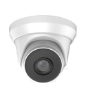 2MP IP Turret Camera