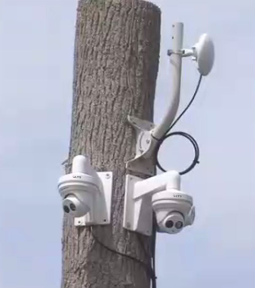 LTS Cameras Catch Thief in Act